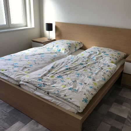 Apartman Havlickova Karlovy Vary Exterior photo