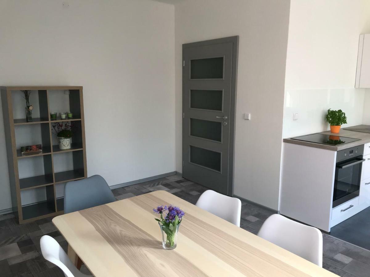 Apartman Havlickova Karlovy Vary Exterior photo