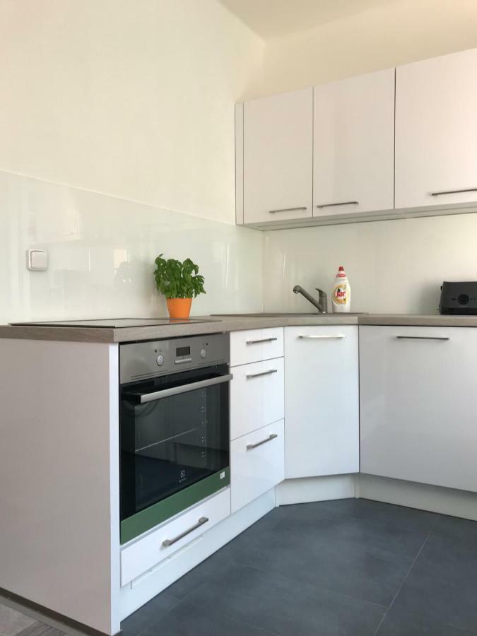 Apartman Havlickova Karlovy Vary Exterior photo